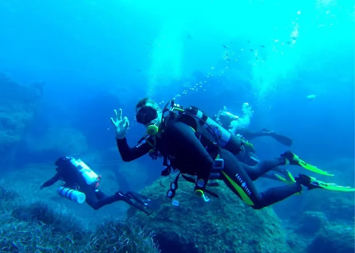 Modern In The Area Of *